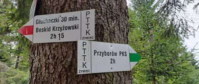 Mędralowa Zachodnia