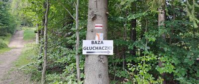 Baza namiotowa Głuchaczki
