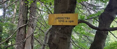 Przełęcz Półgórska ↔ Jaworzyna
