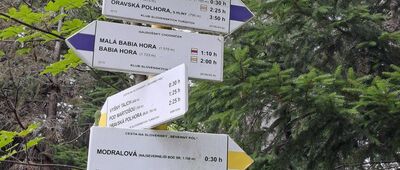 Przełęcz Jałowiecka