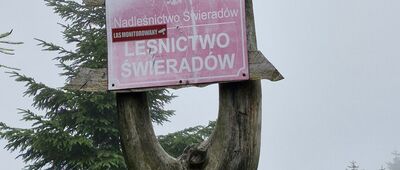 Łącznik [Rozdroże]