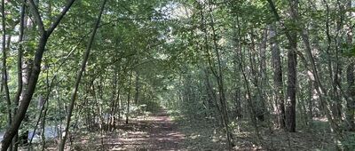 Kielce, Skwer Pamięci Ofiar Katynia ↔ Kielce, Stadion Leśny