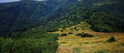 Sedlo Prislop ↔ Sedlo za Kraviarskym