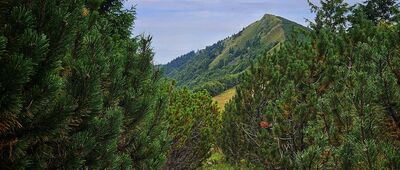 Sedlo za Kraviarskym ↔ Chrapáky