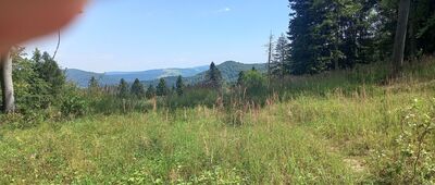 Grzbiet Chyrowej ↔ Teodorówka, Łazy