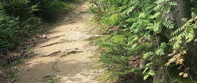 Pod Cergową ↔ Cergowa