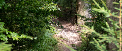 Wisła, Nowa Osada ↔ Smerekowiec [Zielony szlak na Czupel]