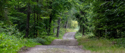 Trzy Kopce Wiślańskie ↔ Wierch Gościejów