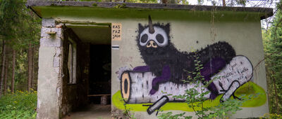 Wisła Gościejów ↔ Wierch Gościejów