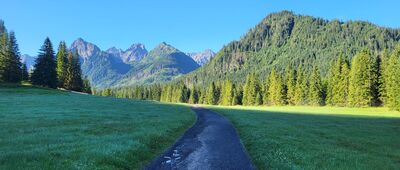 Bielovodská poľana