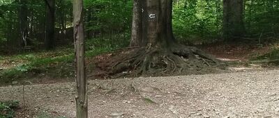 Bystra Krakowska [Bystra Krakowska]