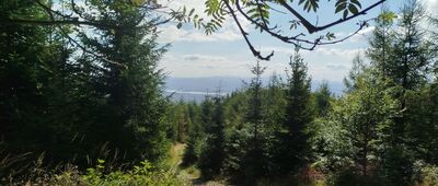 Ruiny schroniska Magura-Kąpielisko [Magura Kąpielisko]