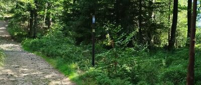 Trzy Kopce pod Klimczokiem [Trzy Kopce pod Klimczokiem]