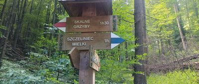 Rozdroże nad Skalnymi Wrotami