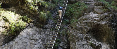 Autocamping Podlesok ↔ Suchá Belá, záver