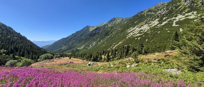 Pod Klinom [Otargańce z "Pod Klinom"]