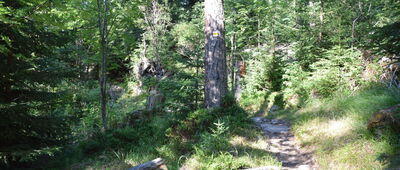 Nad Zrubami ↔ Starý Smokovec