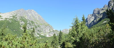 Velická poľana ↔ Nad Zrubami