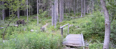 Pod Poľským hrebeňom ↔ Polana Pod Vysokou