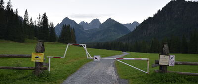 Bielovodská poľana