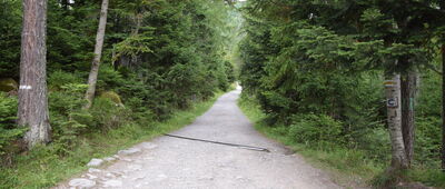 Nad Matliarmi ↔ Biela voda, zast. SAD