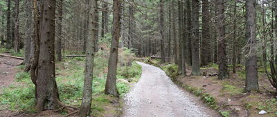 Nizna Folvarska Polana ↔ Šalviový pramen