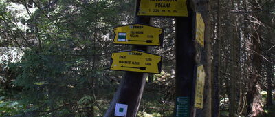 Nizna Folvarska Polana