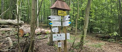 Dolina Świemirowska