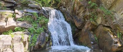 Szczawnica Zdrój ↔ Sewerynówka [Wodospad Zaskalnik]