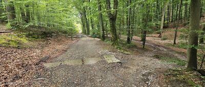 Droga Wielkokacka ↔ Dolina Świemirowska