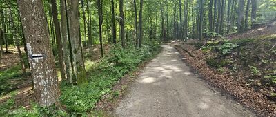 Potok Świemirowski ↔ Droga Nadleśniczych