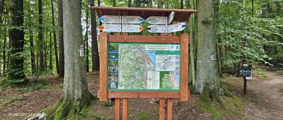 Droga Nadleśniczych