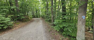 Skrzyżowanie szlaków niebieski / czarny