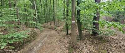 Skrzyżowanie szlaków niebieski / czarny