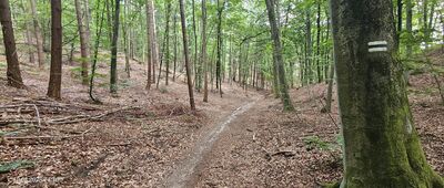 Skrzyżowanie szlaków niebieski / czarny ↔ Rozejście szlaków