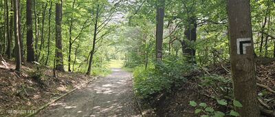 Rozejście szlaków ↔ Gdańsk, Rynarzewo