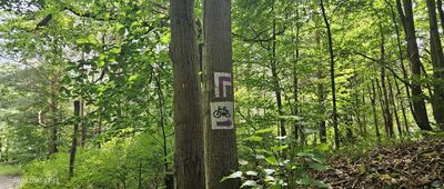 Skrzyżowanie szlaków niebieski / czarny ↔ Gdańsk, Rynarzewo