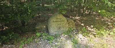 Gdańsk, Rynarzewo ↔ BigFoot Works Bikepark