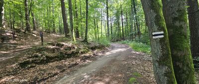 BigFoot Works Bikepark