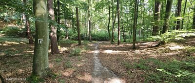 Gdańsk, Rynarzewo ↔ Dolina Ewy