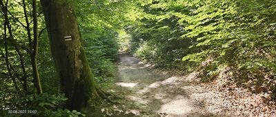 Droga Młyńska ↔ Gdańsk, ul. Bytowska