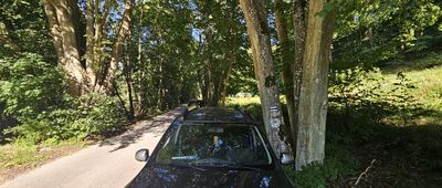 Droga Młyńska ↔ Dolina Radości