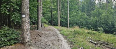 Dolina Radości ↔ Dolina Wężów