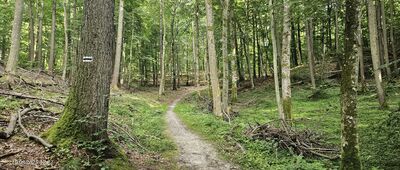 Dolina Wężów ↔ Skrzyżowanie szlaków żółty / czarny