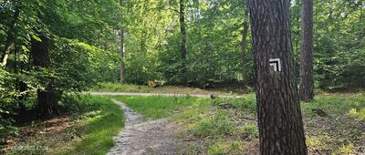 Skrzyżowanie szlaków żółty / czarny