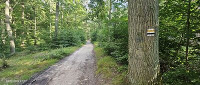 Skrzyżowanie szlaków żółty / czarny