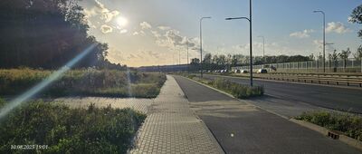 Gdańsk, Kokoszki, rozejście szlaków [W tym miejscu szlak wychodzi z miasta i wchodzi w las (oznaczenia na słupie)]