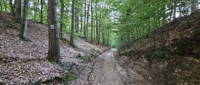 Skrzyżowanie szlaków niebieski / czarny