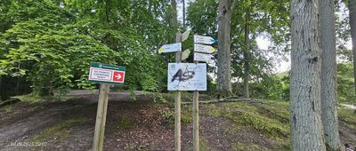 Jezioro Otomińskie, brzeg północny