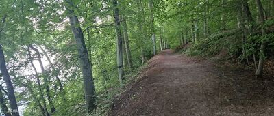 Otomin, plaża ↔ Jezioro Otomińskie, brzeg południowy